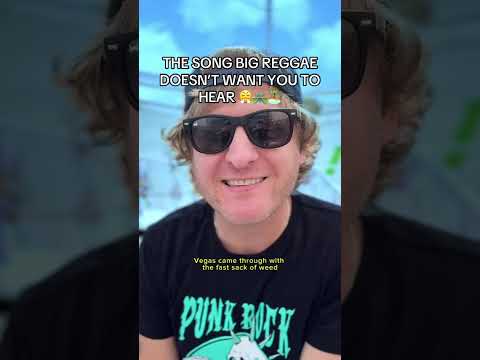 who headin down I-95 this summer?? 🤔🛣️🏝️ #reggae #reggaerock #sublime #pop