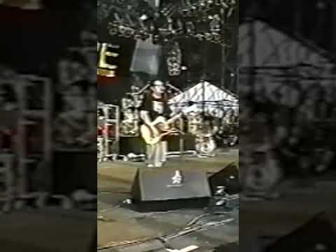 Perfect Government (Live '96)