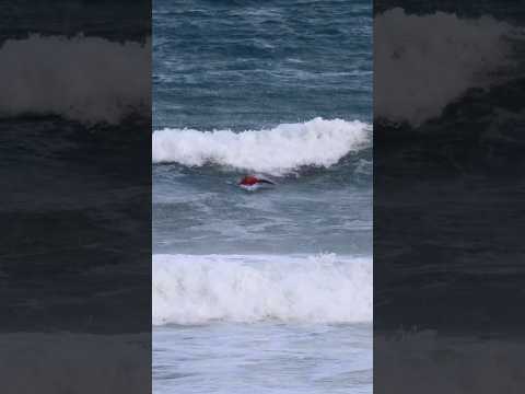 Average waves, above average mid length #surf