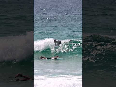 Turquoise small wave surfing on a mid length twin #surf