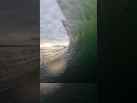 How everybody’s morning should get to begin #surf #surfpov