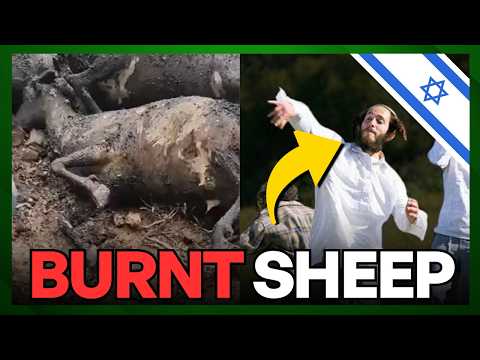 Dozens Of Sheep Burnt Alive By Israeli Settlers