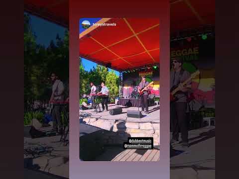 Dubbest Live at Mammoth Reggae Fest