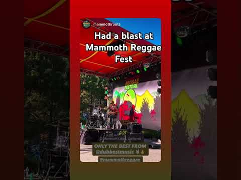 Dubbest Live at Mammoth Reggae Fest