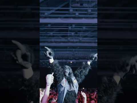 SUPERCHARGED IN LINZ 🇦🇹 ⚡