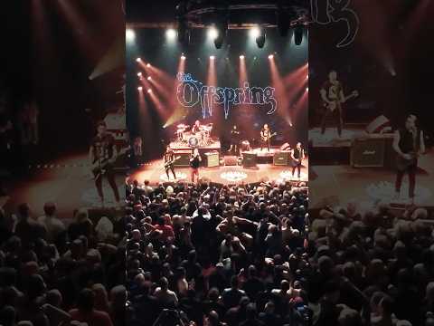"Session" live at JUST THE PUNK STUFF in Quebec City 🖕