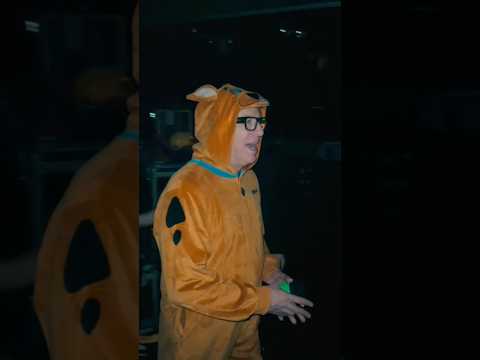 Scooby-Noo(dles) 🐾🤘