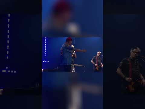 The real pretty fly guy 🪰