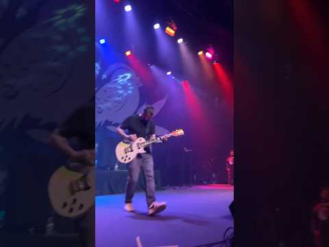 Florida understands the assignment! 🗣️🎶 #bayside #livemusic