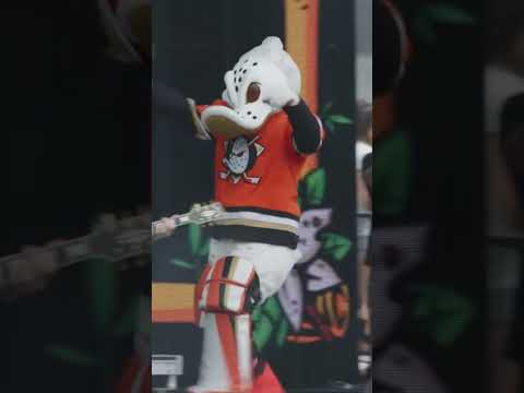 Wild Wing from the Anaheim Ducks joined us for “Devotion And Desire” at Warped Tour in Long Beach. 🦆