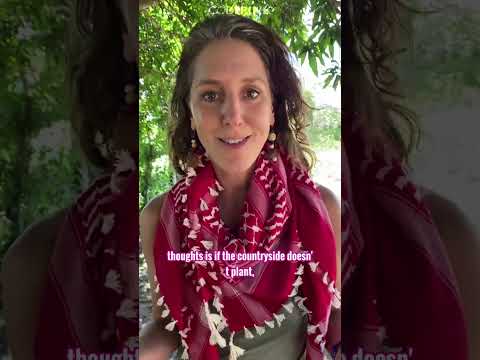 International solidarity in the face of fascism