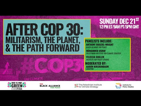 After COP 30: Militarism, the Planet, & the Path Forward