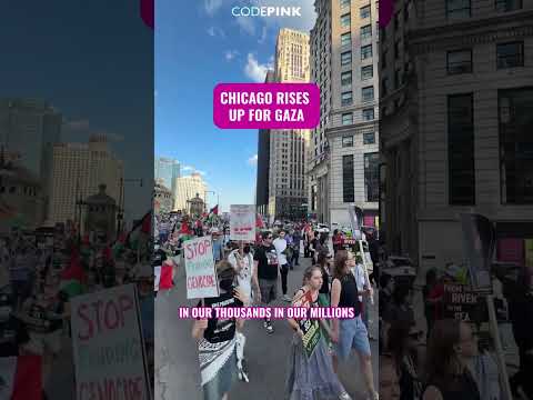 Chicago rises up for Gaza
