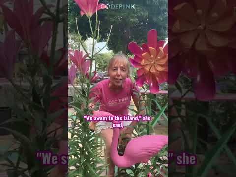 Long live the Flamingo Revolution