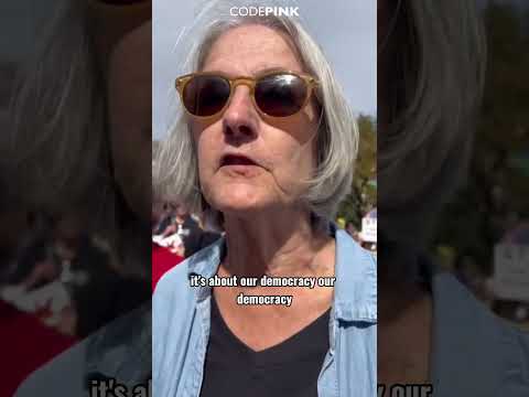 "No Kings" protestors angry at Palestine flag