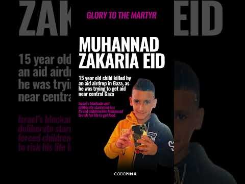 Palestinian child killed by aid airdrop in Gaza