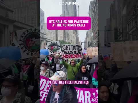 NYC RALLIES FOR PALESTINE AT THE NO KINGS RALLY