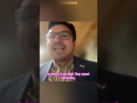 Chicago Alderman: Dictators Fall, Working People Rise!