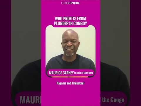 Who profits from plunder in Congo?