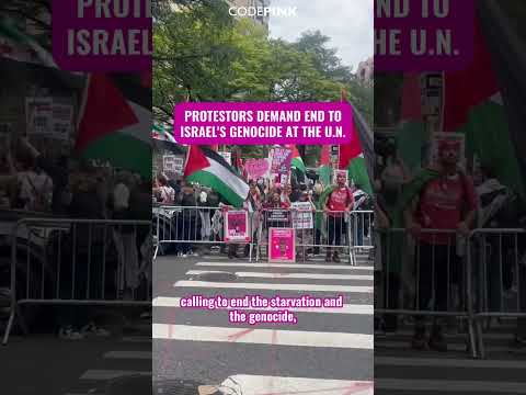 Protesting Israel at the UN today