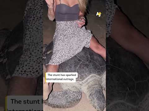 Tourist Influencers Abuse Endangered Turtle in Oman