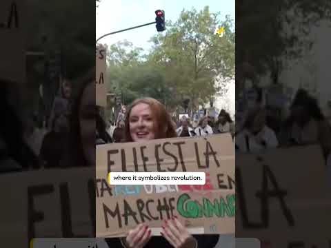 French Orchestra Teargassed Mid Performance
