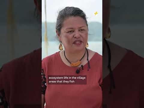 Indigenous Islanders Fight U.S. Military Presence