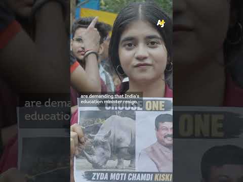 Inside the Cockroach Janta Party Protests