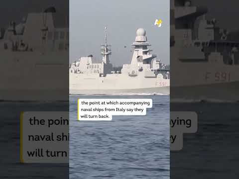 The Global Sumud Flotilla was joined by a pod of dolphins as activists continue to approach Gaza