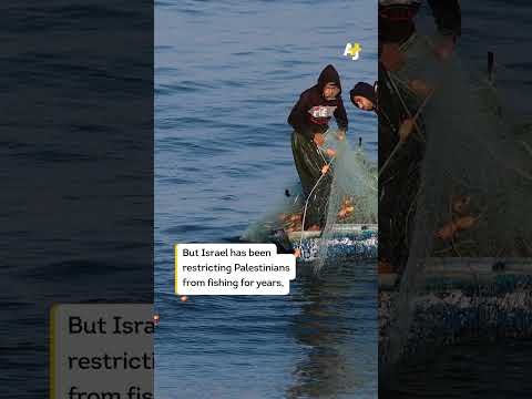This Palestinian father in Gaza is teaching his son how to fish