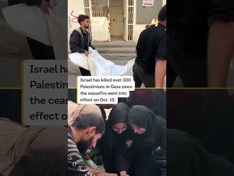 “Perpetrator” Activists Slam Germany Arms Shipments to Israel