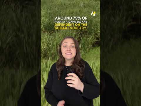 Here’s How Bad Bunny’s Set Told the Story of Puerto Rican Colonization