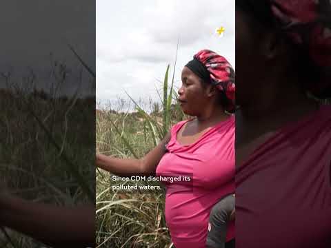 Toxic Cobalt Mining Waste Is Making D.R. Congo Residents Sick