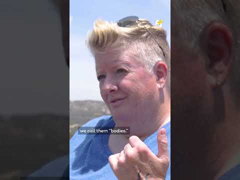 Former Border Patrol Agent Speaks Out