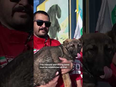 Iran's Rescue Dogs Find People Under Rubble