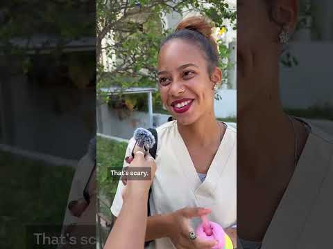 Trump Said Cuba Could Be “Next.” Here’s What Cubans Told Us.