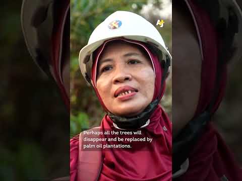 ‘The Power of Mama’ Volunteers Fight Wildfires in Indonesia