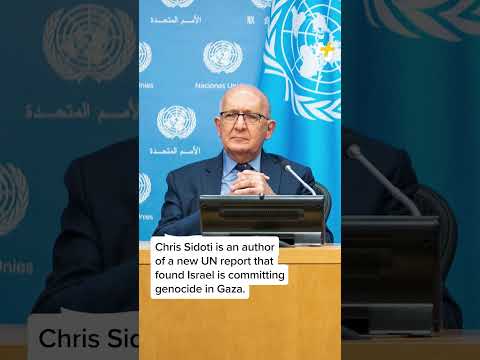 UN Official Mocks Israel’s “ChatGPT” Propaganda