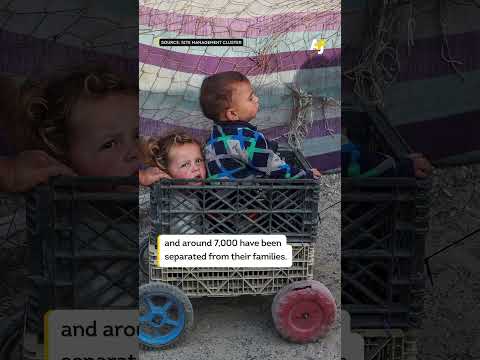Gaza Children Throw a Wedding for Their Dog