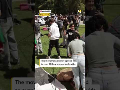 Two Years of Genocide — and the World Still Rises for Gaza