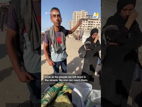 Palestinians in Gaza City Flee to the “Unknown” As West Recognizes Palestine