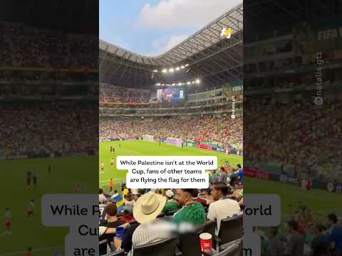 Football Fans Waving Palestinian Flag in Solidarity at the World Cup