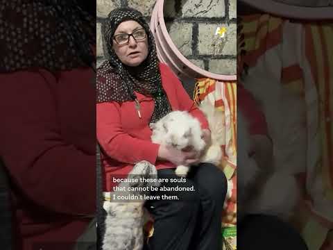 Lebanese People Are Rescuing Animals Amid Israeli Attacks