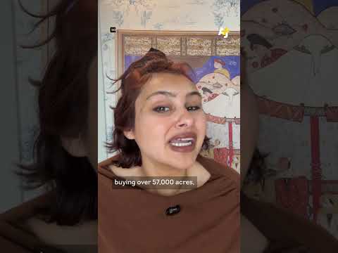 These Billionaires Own TikTok ... And A Lot of Hawai'i