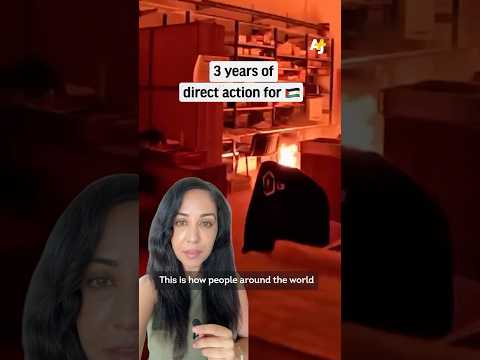 Three Years of Direct Action for Palestine