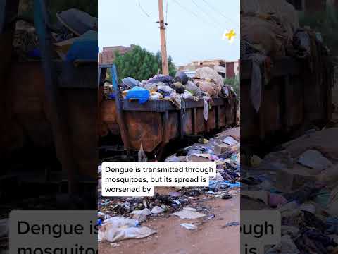 Sudanese Resort to Eat Animal Feed Amid War