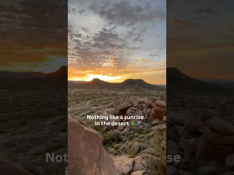 Sunrise in AZ🌵 #arizona #desert #sunrise #hiking #musician #morningroutine