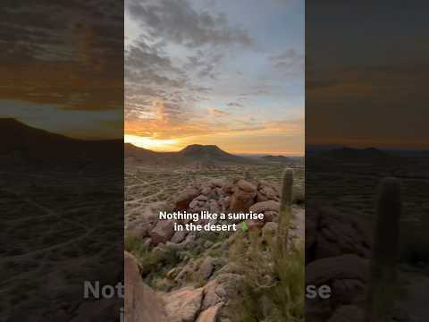 Sunrise in the desert 🌵 #desert #arizona #sunrise #music #musician