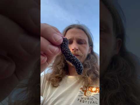 Can you name this fruit? #newmusic #singersongwriter #gardening #health #fruit