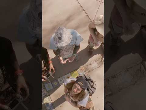 Still buzzing from M3F #newmusic #music #singersongwriter #festival #rave